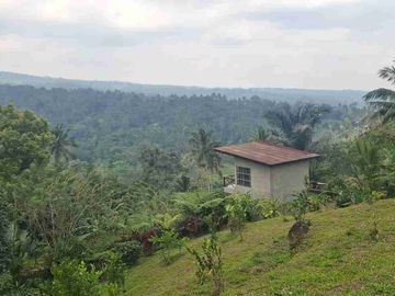 jual tanah murah ada bangunannya 70 are (7000m2).harga global 3,2m ngo