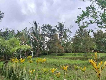 jual tanah murah ada bangunannya 70 are (7000m2).harga global 3,2m ngo