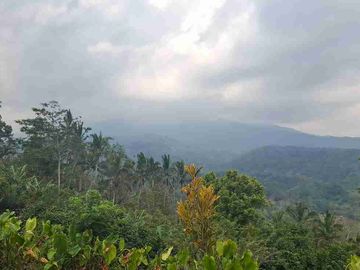 jual tanah murah ada bangunannya 70 are (7000m2).harga global 3,2m ngo