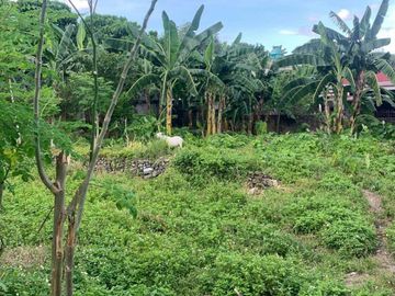 Prime Residential Development Lot in Peace Valley Lahug