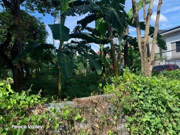 Prime Residential Development Lot in Peace Valley Lahug