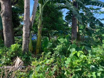 Prime Residential Development Lot in Peace Valley Lahug