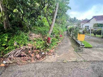 jual tanah luasan kecil view sawah area pemukiman di wanagiri selemadeg tabanan bali.