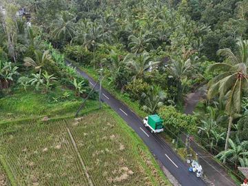 jual tanah luasan kecil view sawah area pemukiman di wanagiri selemadeg tabanan bali.