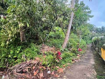 jual tanah luasan kecil view sawah area pemukiman di wanagiri selemadeg tabanan bali.