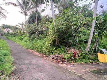 jual tanah luasan kecil view sawah area pemukiman di wanagiri selemadeg tabanan bali.
