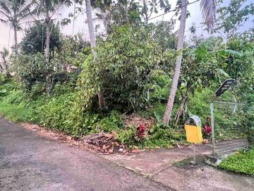 jual tanah luasan kecil view sawah area pemukiman di wanagiri selemadeg tabanan bali.