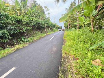 jual tanah luasan kecil view sawah area pemukiman di wanagiri selemadeg tabanan bali.