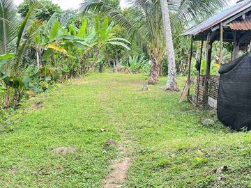 jual tanah di apit dua sungai di desa wisata manikyang, selemadeg tabanan bali.