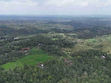 jual tanah di apit dua sungai di desa wisata manikyang, selemadeg tabanan bali.