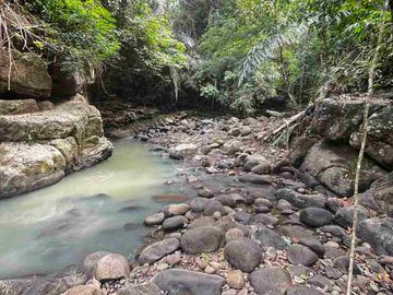 jual tanah kebun view sungai eksotik dan view junggle yang asri di tabanan bali.