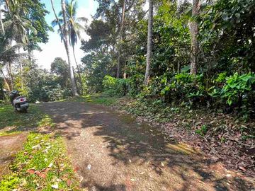 jual tanah kebun view sungai eksotik dan view junggle yang asri di tabanan bali.