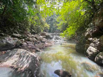 jual tanah kebun view sungai eksotik dan view junggle yang asri di tabanan bali.