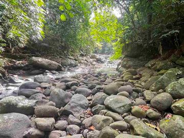 jual tanah kebun view sungai eksotik dan view junggle yang asri di tabanan bali.