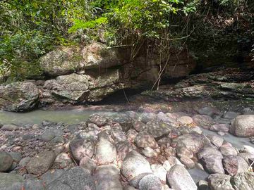jual tanah kebun view sungai eksotik dan view junggle yang asri di tabanan bali.