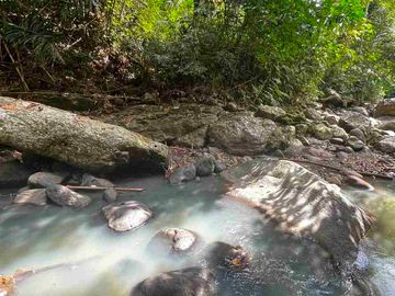 jual tanah kebun view sungai eksotik dan view junggle yang asri di tabanan bali.