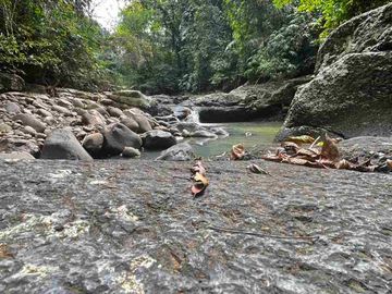 jual tanah kebun view sungai eksotik dan view junggle yang asri di tabanan bali.
