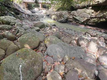 jual tanah kebun view sungai eksotik dan view junggle yang asri di tabanan bali.