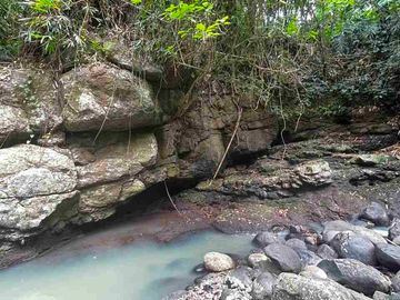 jual tanah kebun view sungai eksotik dan view junggle yang asri di tabanan bali.