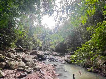 jual tanah kebun view sungai eksotik dan view junggle yang asri di tabanan bali.