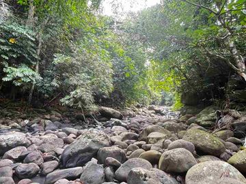 jual tanah kebun view sungai eksotik dan view junggle yang asri di tabanan bali.