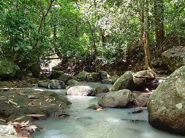 jual tanah kebun Los sungai murah di tabanan bali