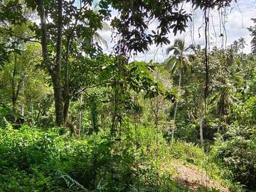 jual tanah kebun Los sungai murah di tabanan bali