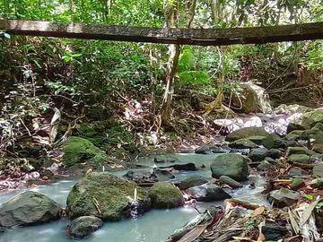 jual tanah kebun Los sungai murah di tabanan bali