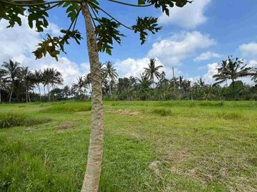 jual tanah flat datar di tabanan bali.