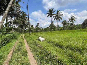 jual tanah flat datar di tabanan bali.