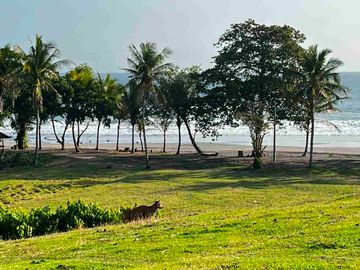 dijual tanah Los pantai kelecung tabanan bali