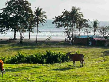 dijual tanah Los pantai kelecung tabanan bali