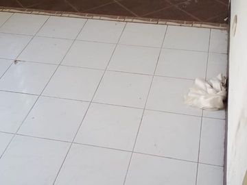 Dijual Rumah Taman Puspa Raya Citraland - Surabaya