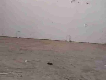 DIJUAL Gudang  Area Dadap Kosambi , Jalan Raya Perancis, 450 m² |  Bebas Banjir, akses kontainer 40 Feet, dalam kawasan pergudangan
