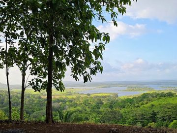 LOTES FRENTE AL LAGO GATUN- FINANCIAMIENTO DIRECTO DESDE 200 QUINCENAL