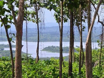 LOTES FRENTE AL LAGO GATUN- FINANCIAMIENTO DIRECTO DESDE 200 QUINCENAL