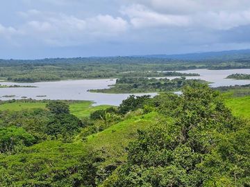 LOTES FRENTE AL LAGO GATUN- FINANCIAMIENTO DIRECTO DESDE 200 QUINCENAL