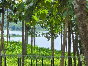 LOTES FRENTE AL LAGO GATUN- FINANCIAMIENTO DIRECTO DESDE 200 QUINCENAL
