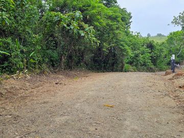 LOTES FRENTE AL LAGO GATUN- FINANCIAMIENTO DIRECTO DESDE 200 QUINCENAL