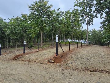 LOTES FRENTE AL LAGO GATUN- FINANCIAMIENTO DIRECTO DESDE 200 QUINCENAL