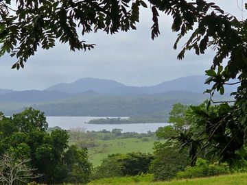 LOTES FRENTE AL LAGO GATUN- FINANCIAMIENTO DIRECTO DESDE 200 QUINCENAL