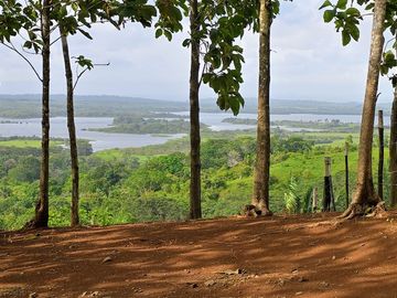 LOTES FRENTE AL LAGO GATUN- FINANCIAMIENTO DIRECTO DESDE 200 QUINCENAL