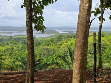 LOTES FRENTE AL LAGO GATUN- FINANCIAMIENTO DIRECTO DESDE 200 QUINCENAL