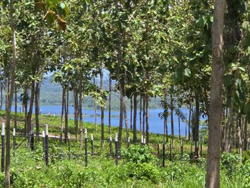 LOTES FRENTE AL LAGO GATUN- FINANCIAMIENTO DIRECTO DESDE 200 QUINCENAL