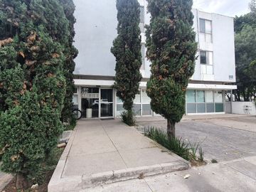 Departamento en Renta en Jardines del Bosque | Espacio, ubicación y conectividad