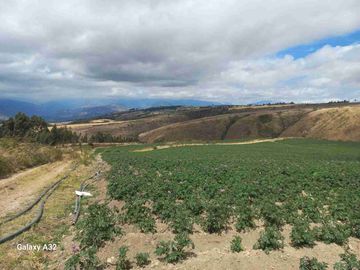 Se Vende Finca de 62 HECTÁREAS ideal para proyecto Agricola Ganadera o Turismo a 10 minutos de BOLIVAR CARCHI Ecuador