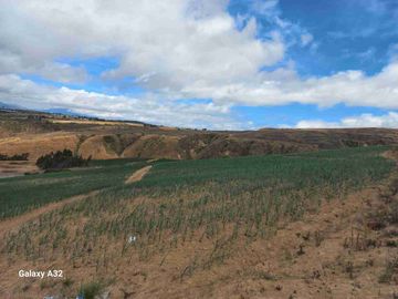 Se Vende Finca de 62 HECTÁREAS ideal para proyecto Agricola Ganadera o Turismo a 10 minutos de BOLIVAR CARCHI Ecuador
