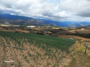Se Vende Finca de 62 HECTÁREAS ideal para proyecto Agricola Ganadera o Turismo a 10 minutos de BOLIVAR CARCHI Ecuador