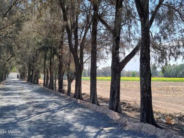 Cañadas del Valle Terreno Residencial en Venta con Más de 150,000 m² de Áreas Verdes SGU2369