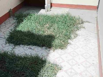 Vendo terreno